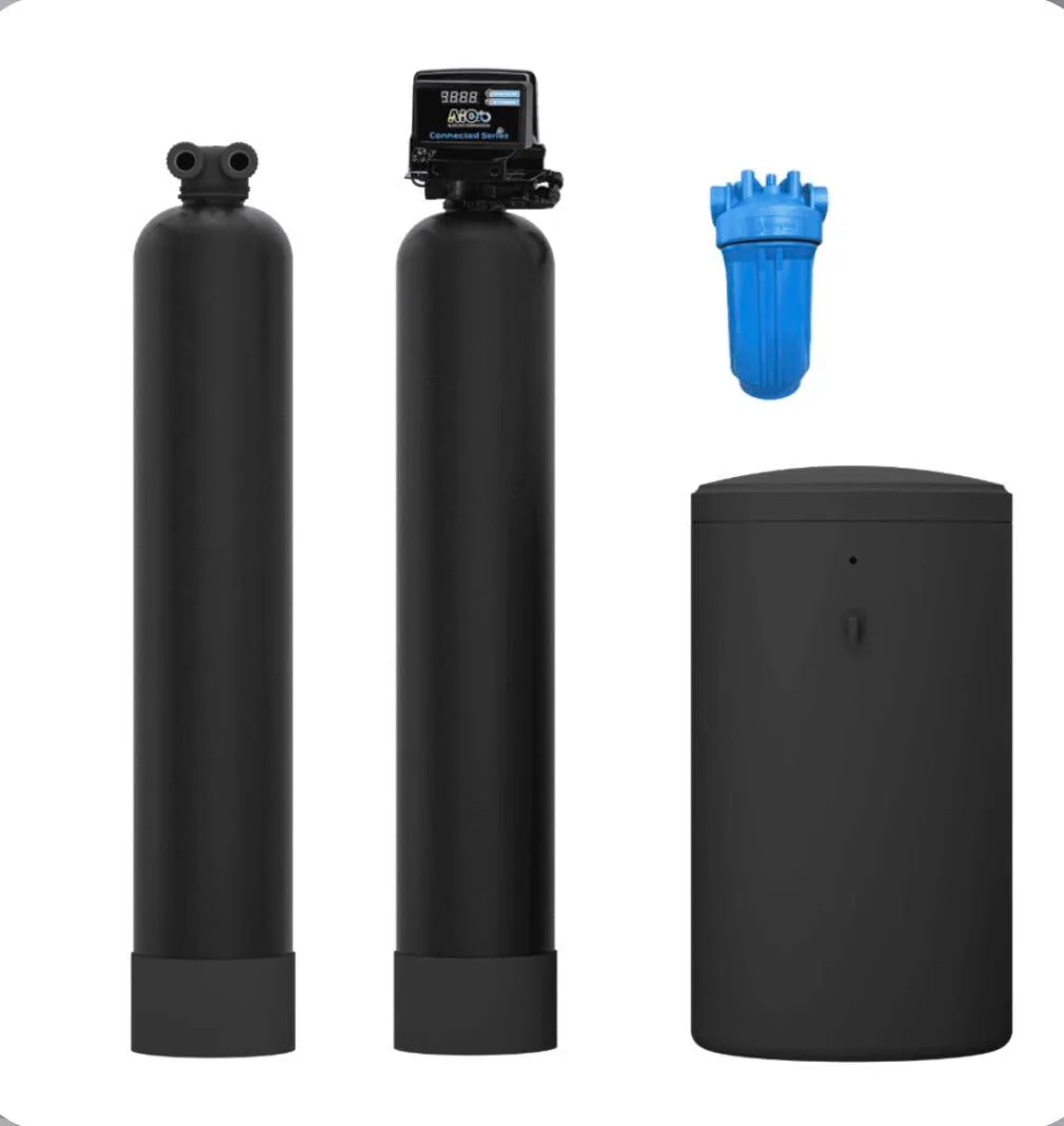 Dual tank whole home water treatment system